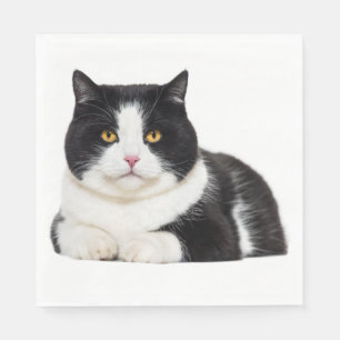 Cute Kitty Kitten Black White Cat Party Napkins