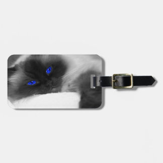 cute kitty luggage tag
