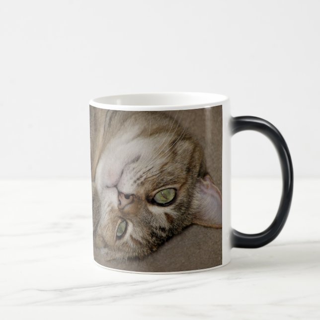 Cute Kitty Morph Mug (Right)