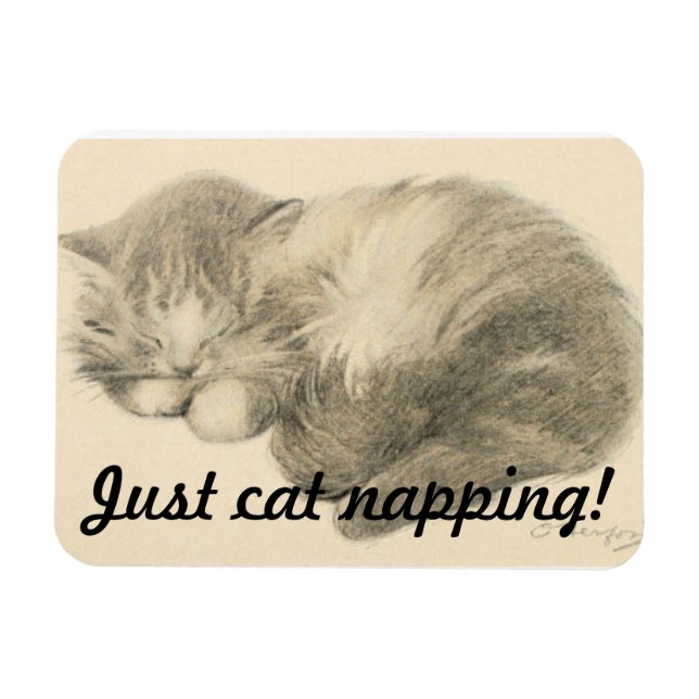 Cute Kitty Napping Magnet (Horizontal)