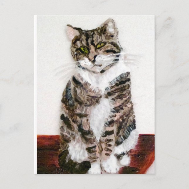 Cute Kitty Pet Portrait Tabby Cat Postcard (Front)