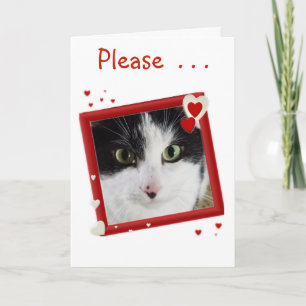 Cute Kitty Valentine Holiday Card