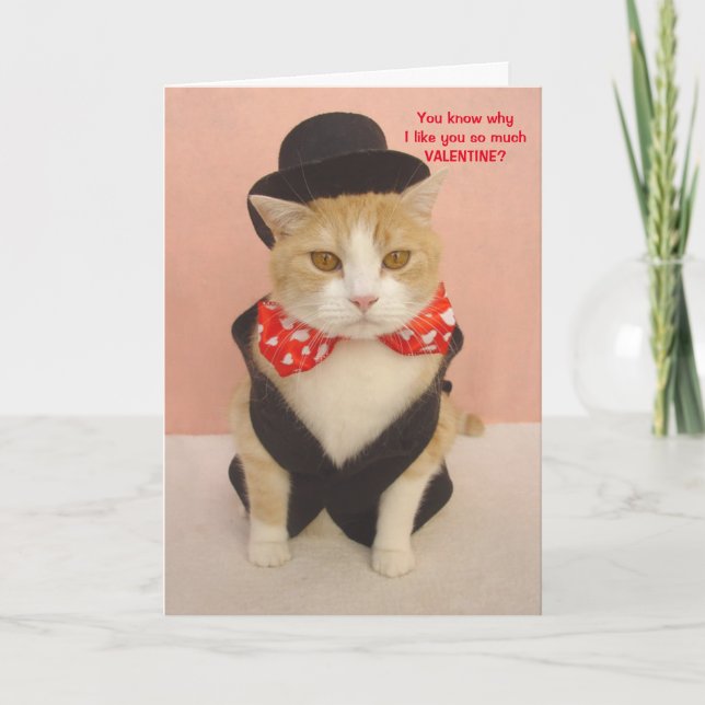 Cute Kitty Valentine  Holiday Card (Front)