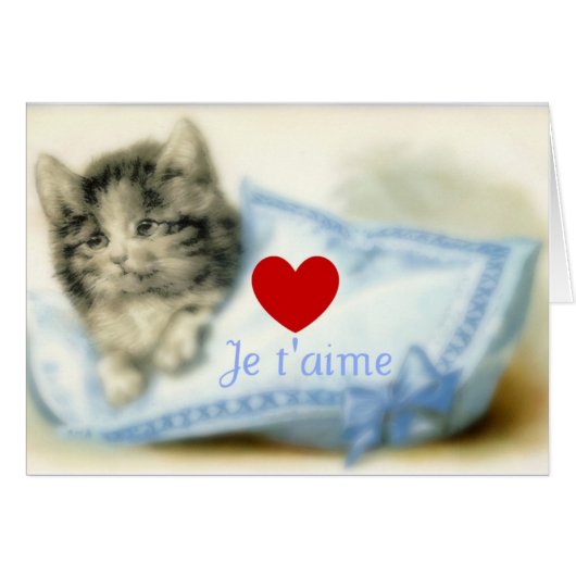 Cute kitty with pillow and love cards (Front Horizontal)