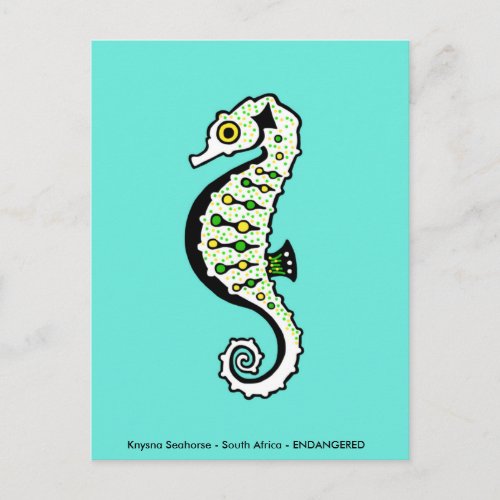 Cute  Knysna SEAHORSE _ Conservation _ Ecology Postcard