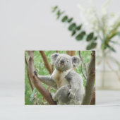 Cute Koala (Standing Front)