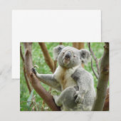 Cute Koala (Front/Back)