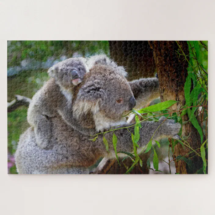 Cute Koala Baby Eucalyptus Animal Nature Australia Jigsaw Puzzle Zazzle Com