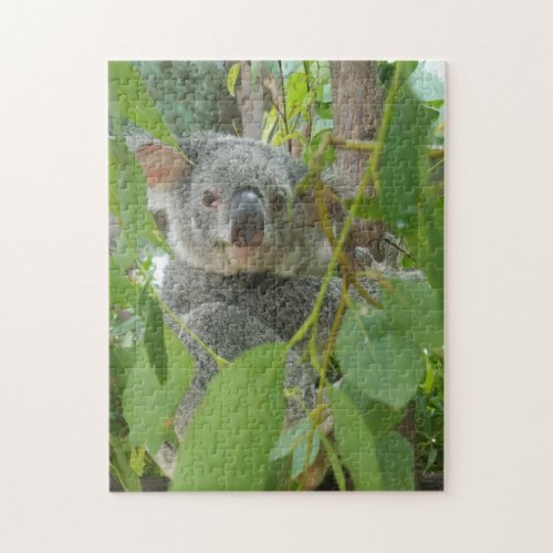 Cute Koala Bear Baby Australia Photography Jigsaw Puzzle