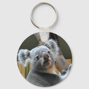 Koala Keychain, Key Chain, Koala Gifts