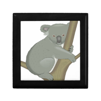 Cute Koala Bear Destiny Nature Aussi Outback Jewelry Box