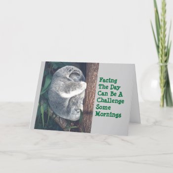 Cute Koala Bear In Tree/humor/friendship Card by whatawonderfulworld at Zazzle