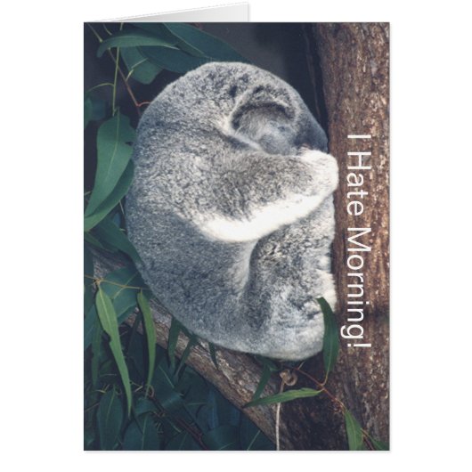 CUTE KOALA BEAR IN TREE/"I HATE MORNING!" CARDS (Front)