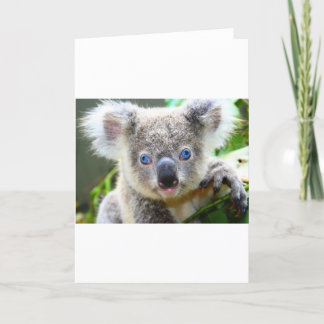 Cute Koala Bear Letterpress Thank You Card