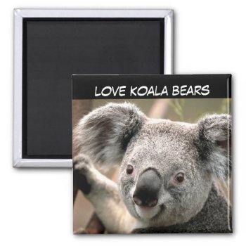 Cute Koala Bear Magnet by paul68 at Zazzle
