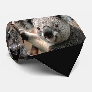 Cute Koala Bear Photo Tie (black Background) by Regella at Zazzle