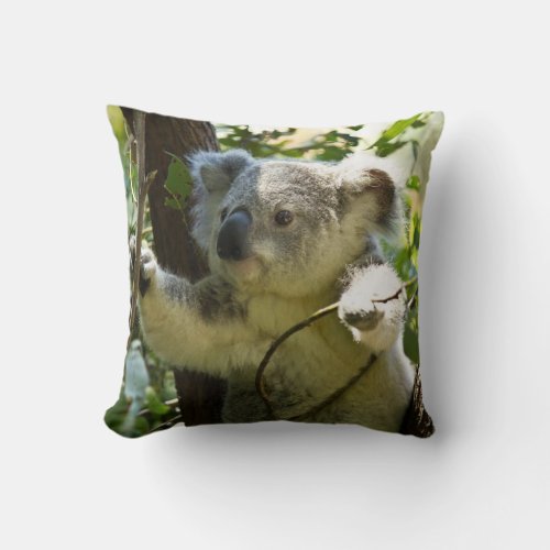 Cute Koala Bear Pillow