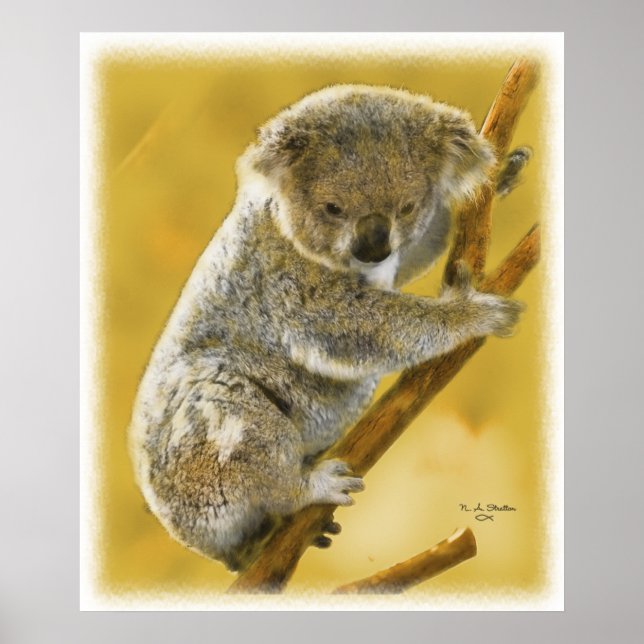 Cute...Koala Bear...Poster and Print! Poster (Front)