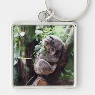 Cute Koala Bear relaxing in a Tree Keychain
