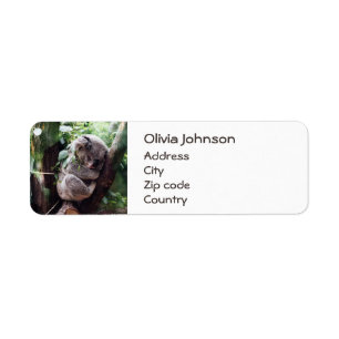 Cute Koala Bear relaxing in a Tree Label