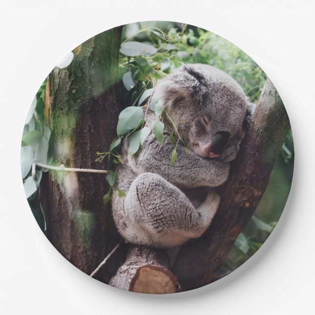 Cute Koala Bear relaxing in a Tree Paper Plates (Front)