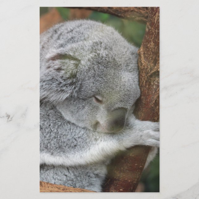 Cute Koala Bear Shower Office Party Stationery (Front)