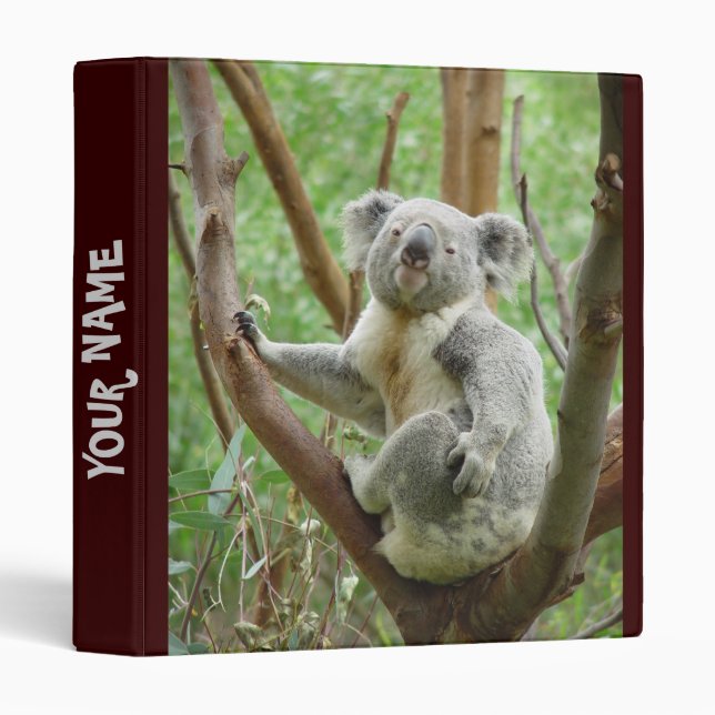 Cute Koala Binder (Front/Spine)