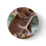 Cute Koala Button