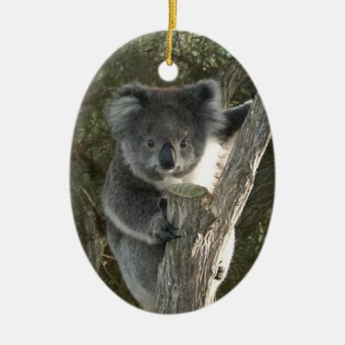 Cute Koala Climbing a Tree Ceramic Ornament