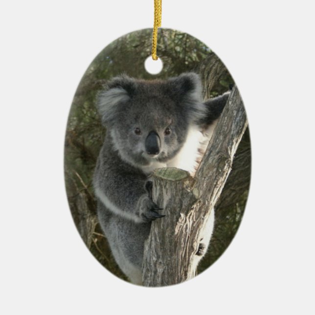 Cute Koala Climbing a Tree Ceramic Ornament (Front)