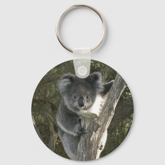 Cute Koala Climbing a Tree Keychain (Front)