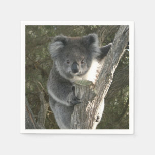 Cute Koala Climbing a Tree Paper Napkins