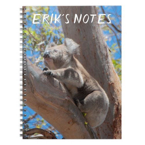 Cute Koala Climbing a Tree Personalized Notebook