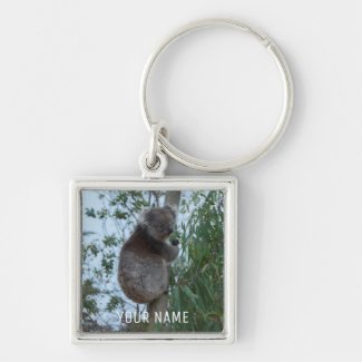 Cute Koala Climbing in a Tree Australia Key Ring