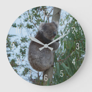 Cute Koala Climbing in a Tree Australia Large Clock