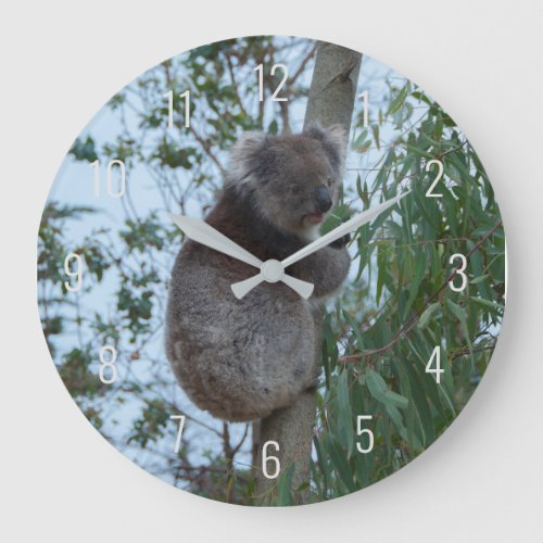 Cute Koala Climbing in a Tree Australia Large Clock