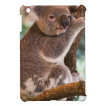 Cute Koala Cover For The iPad Mini