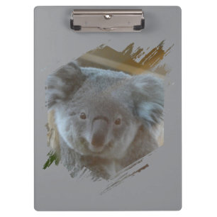 Cute Koala Cust. BG Clipboard