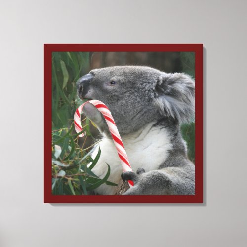 Cute Koala Eating Candy Cane Canvas Print
