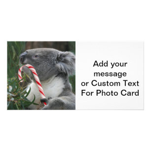 Cute Koala Eating Candy Cane Card