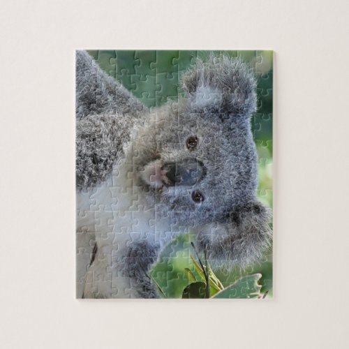 Cute koala jigsaw puzzle