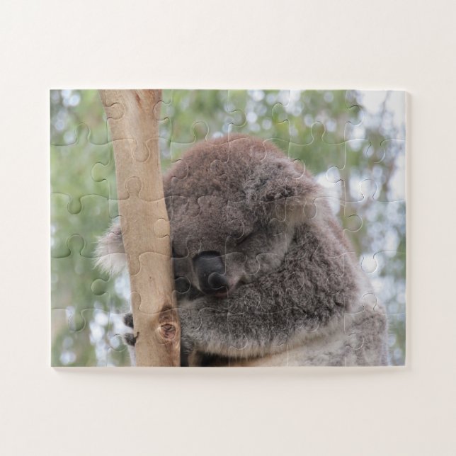 cute koala jigsaw puzzle (Horizontal)