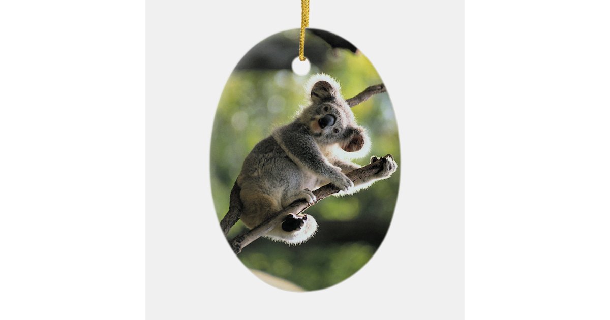 cute koala ornament zazzle com cute koala ornament zazzle com