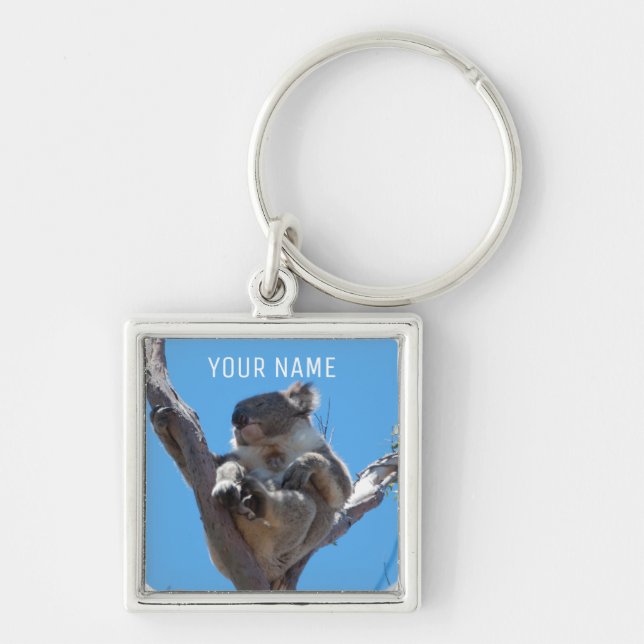 Cute Koala Sleeping in a Tree Australia Keychain (Front)