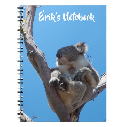 Cute Koala Sleeping in a Tree Australia Notebook
