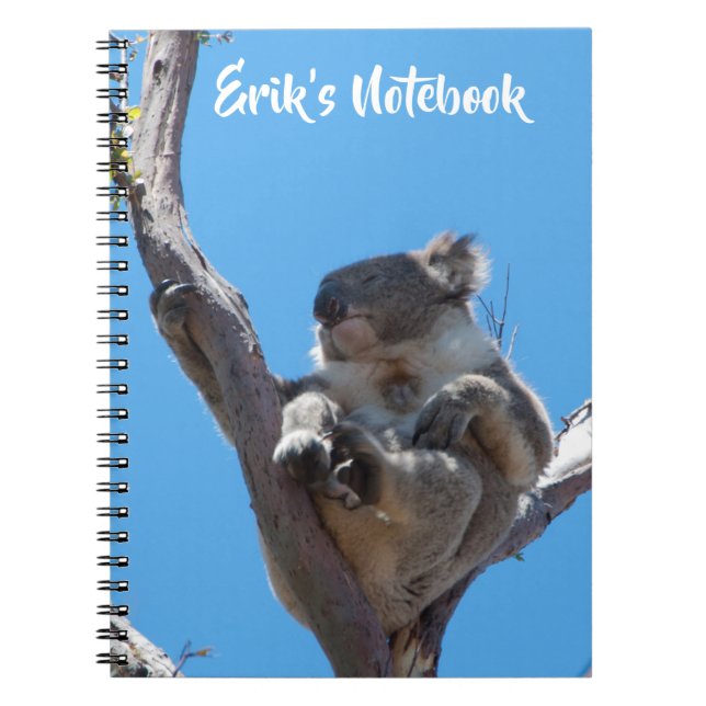 Cute Koala Sleeping in a Tree Australia Notebook (Front)