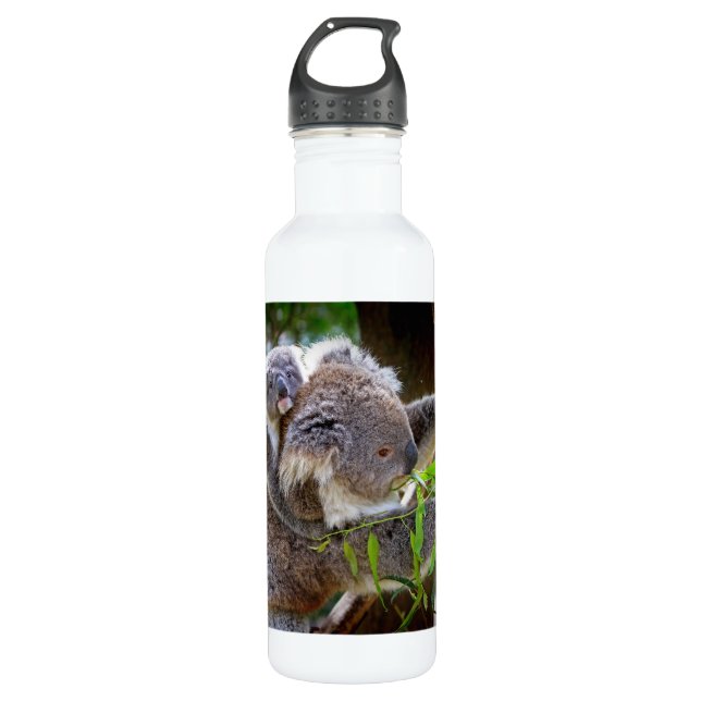 Cute Koalas Water Bottle (Front)