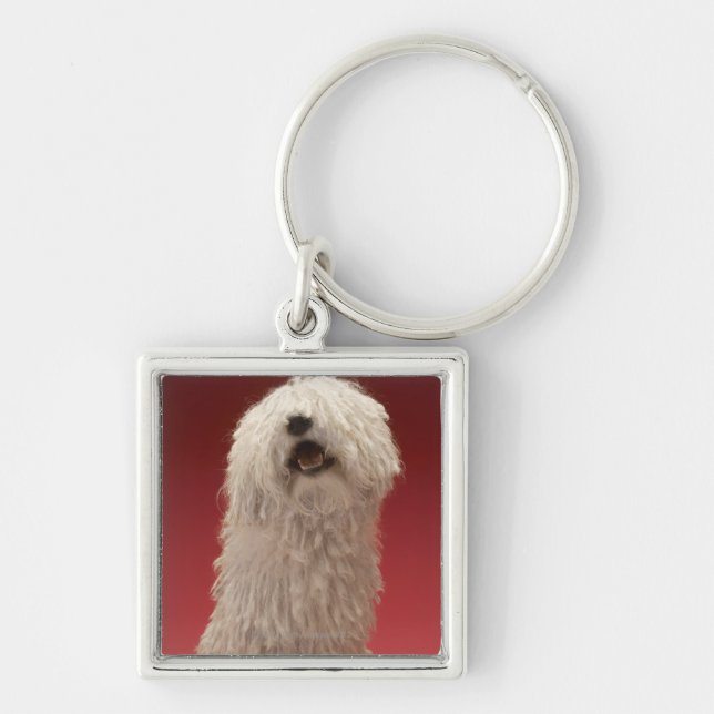 Cute Komondor Dog Keychain (Front)