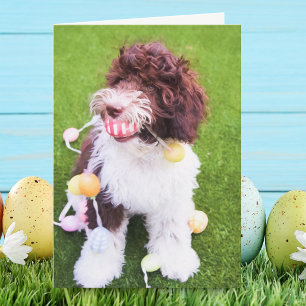 Cute Labradoodle Easter Egg Hunt Card