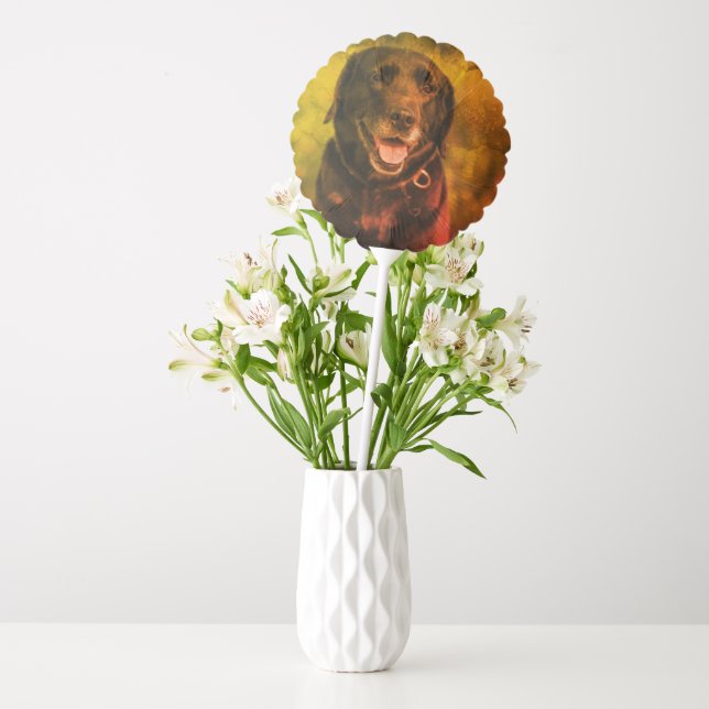 Cute Labrador Black Dog Puppy Pet Balloon (Vase)